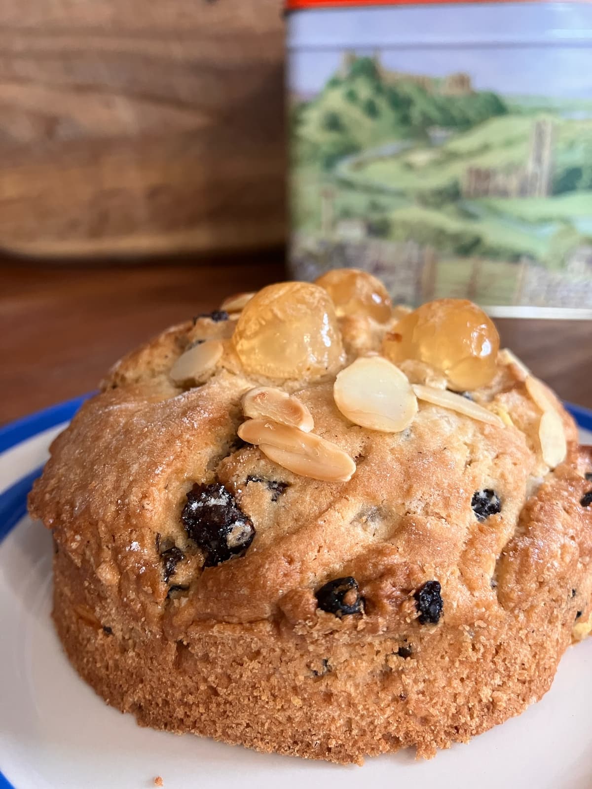 Yorkshire Rose Rascal