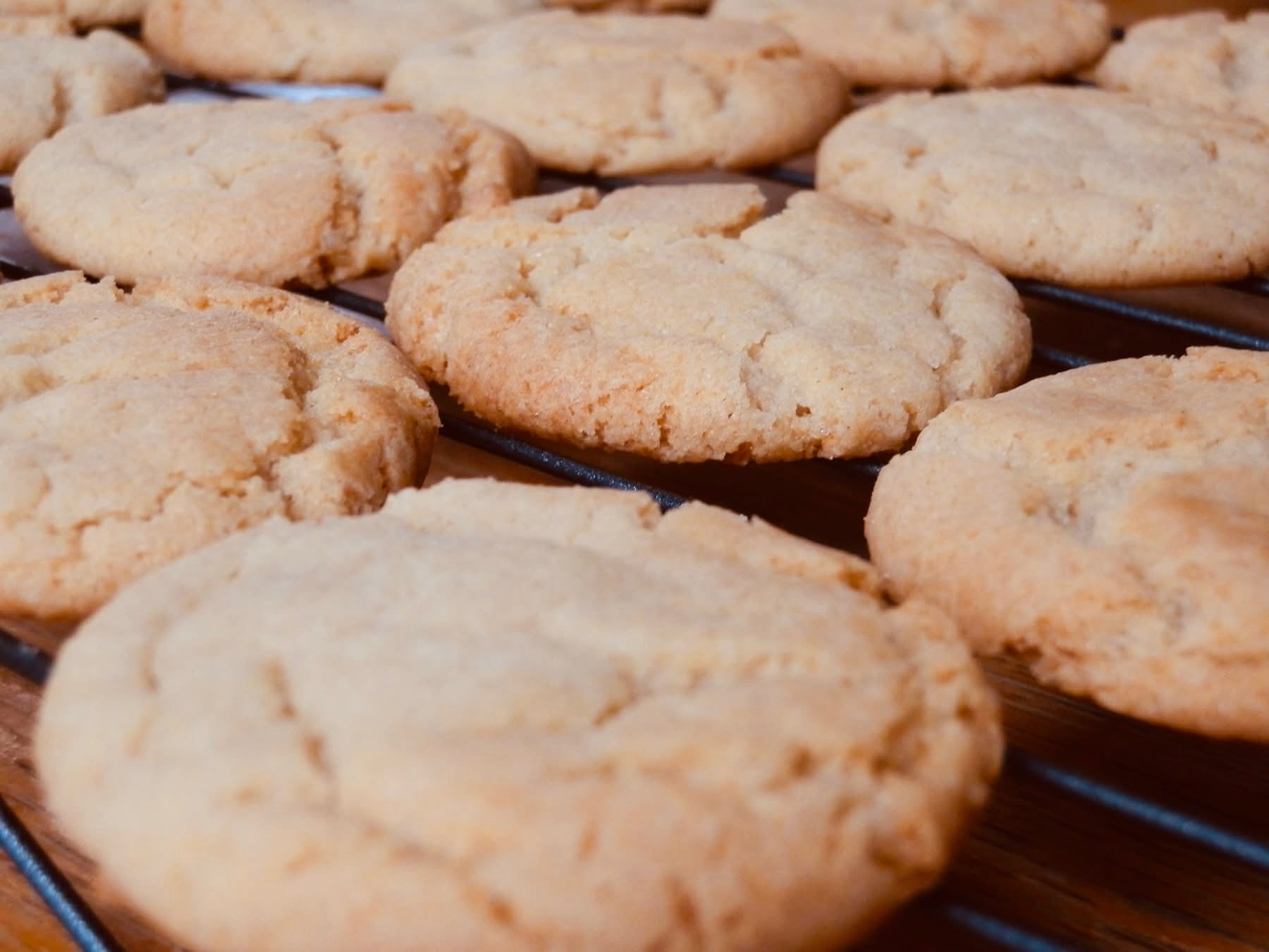 Gingernuts