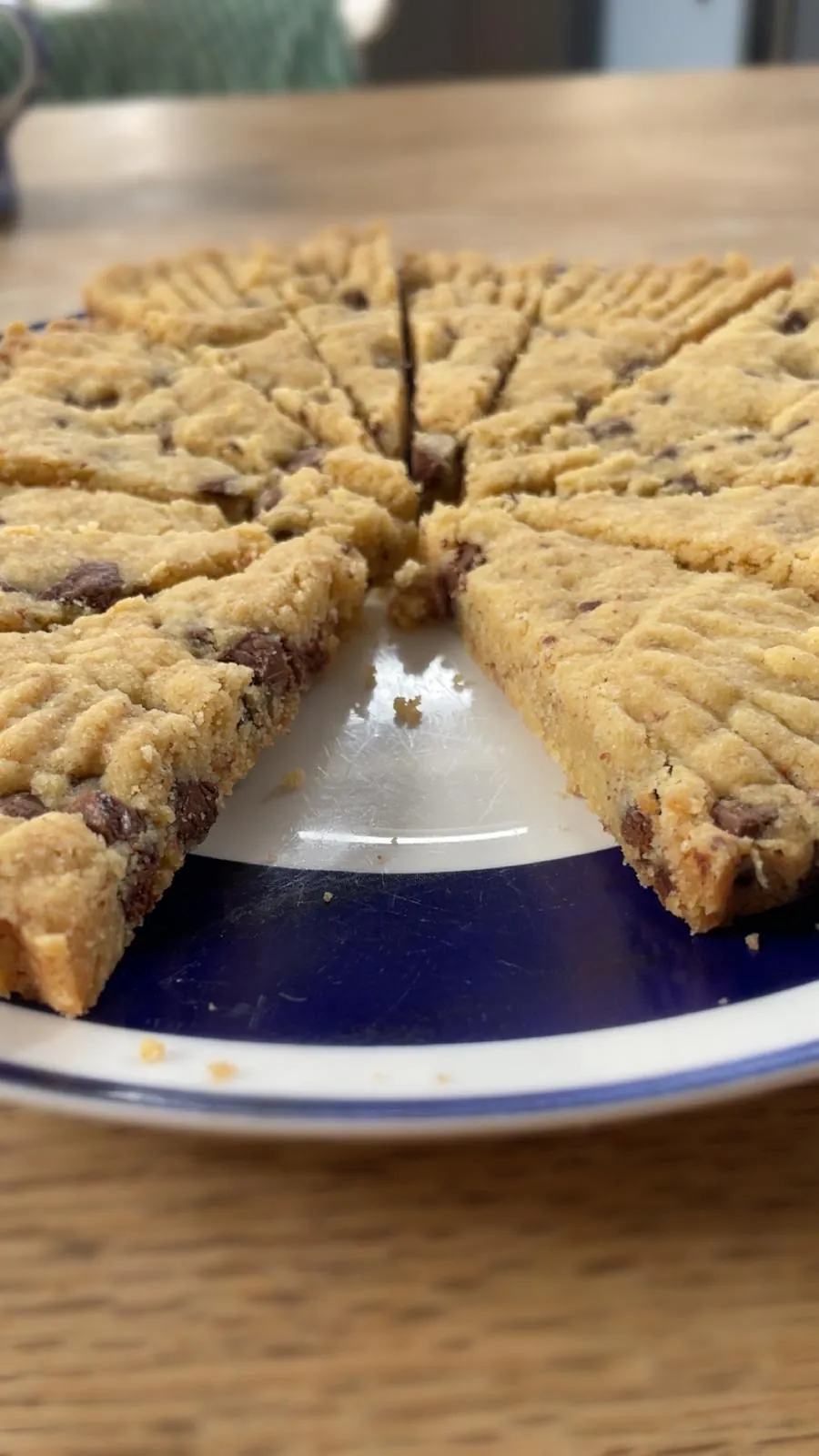 Chocolate Chip Shortbread triangles